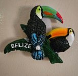 duo-toucans.jpg